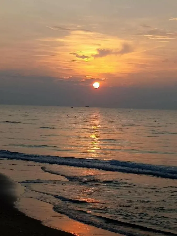 Orchid Boutique Beach Resort Фантхьет 3*,