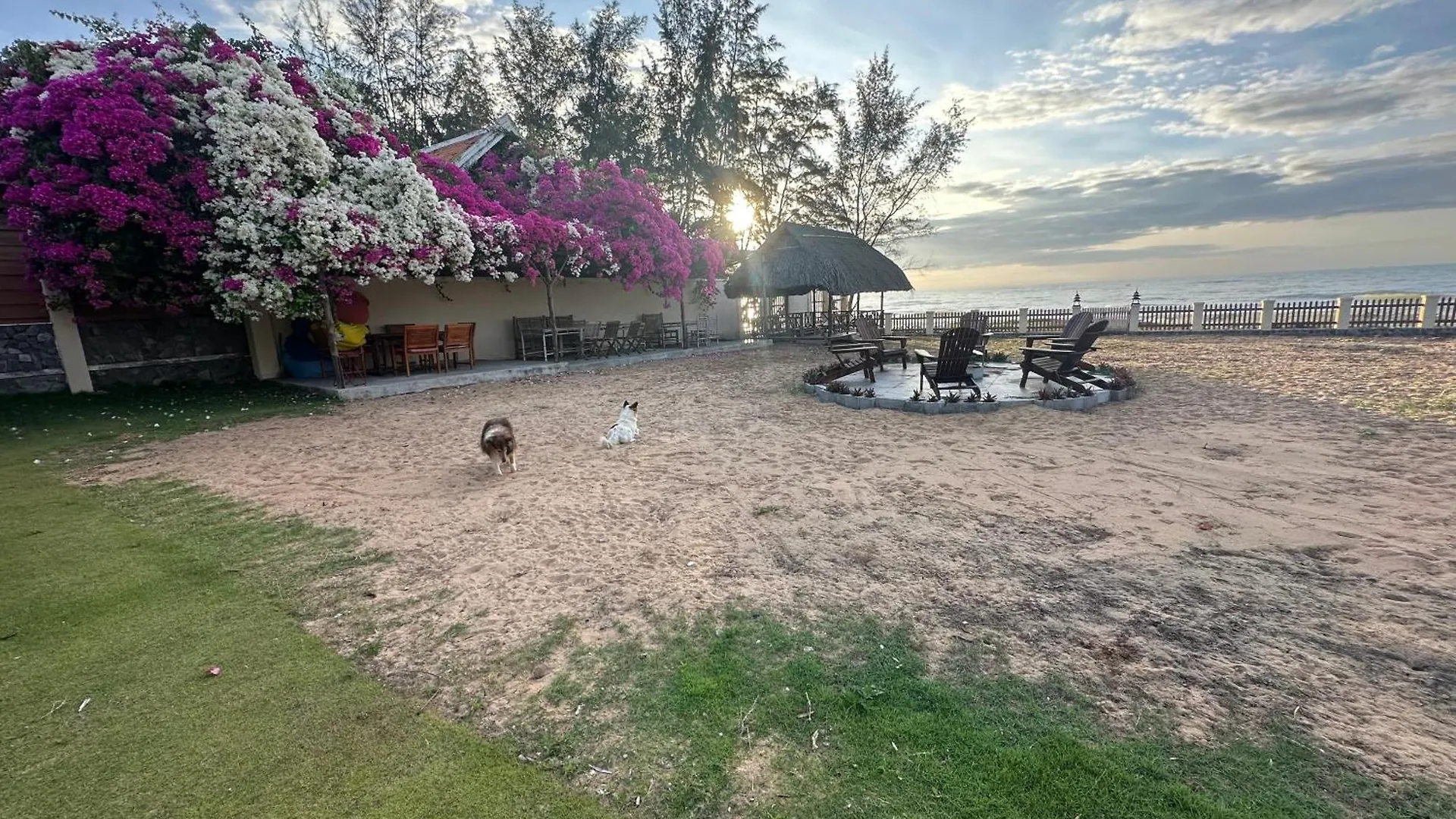 Orchid Boutique Beach Resort Фантхьет Вьетнам