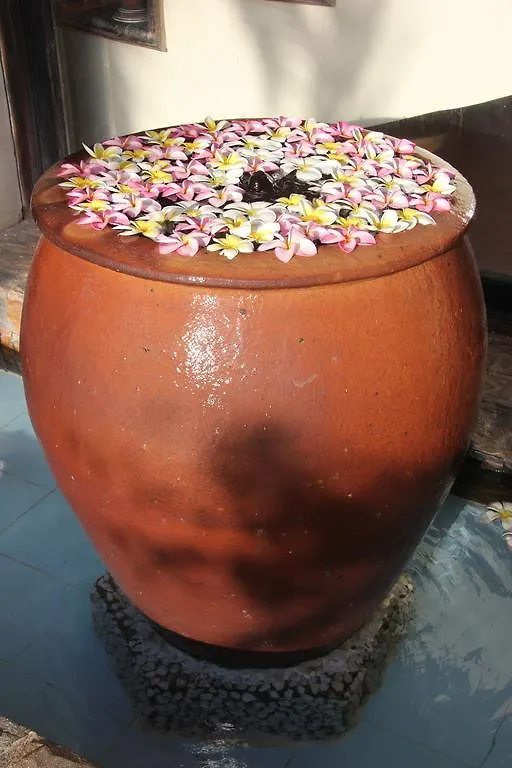 Orchid Boutique Beach Resort Фантхьет